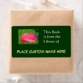 Étiquette Livre de la Bibliothèque de Nom Personnalisé Vert (En situation)