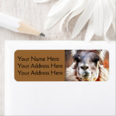 Étiquette Llama (En situation)