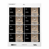 Étiquette Lois de Kitteh Probabilité (Feuille entière)