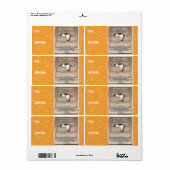 Étiquette Lois de Kitteh Probabilité (Feuille entière)