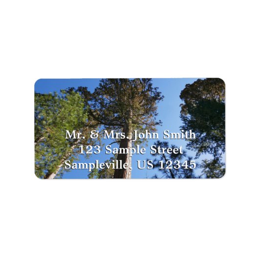 Étiquette Looking Up at Mariposa Grove (Devant)