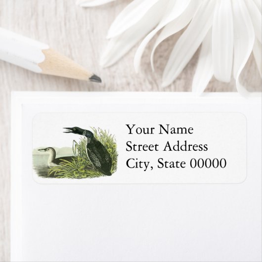 Étiquette Loon commun, John Audubon (En situation)