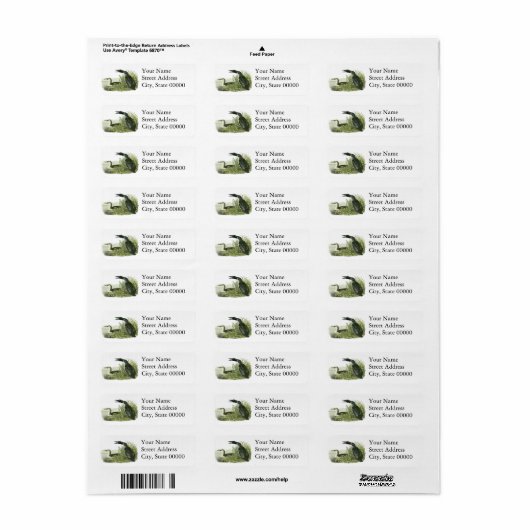 Étiquette Loon commun, John Audubon (Feuille entière)