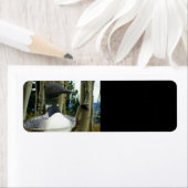 Étiquette Loon Wilderness (En situation)