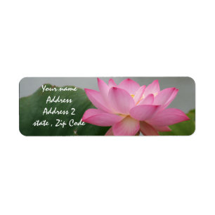 Étiquette Lotus Blossom Rose