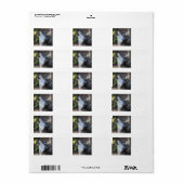 Étiquette loup (Feuille entière)