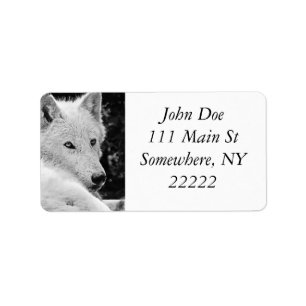 Étiquette Loup blanc étonnant