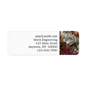 Étiquette Loup Dans Le Bassin D'Automne