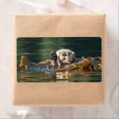 Étiquette Loup de mer agité (En situation)