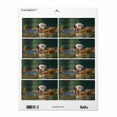 Étiquette Loup de mer agité (Feuille entière)