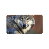 Étiquette Loup gris et blanc (Devant)