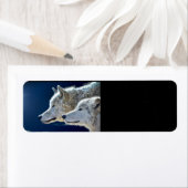 Étiquette Loups blancs (En situation)