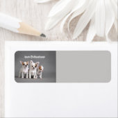 Étiquette Love Chihuahuas (En situation)