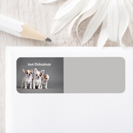 Étiquette Love Chihuahuas (En situation)