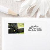 Étiquette Love Ewe Sheep personnalisable (En situation)