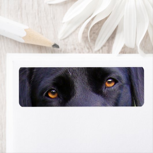 Étiquette LR yeux noirs (En situation)