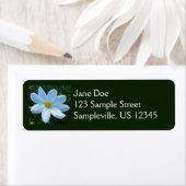 Étiquette Lumière du soleil sur la florale blanche de Cosmos (En situation)