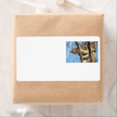 Étiquette Lynx espiègle (En situation)