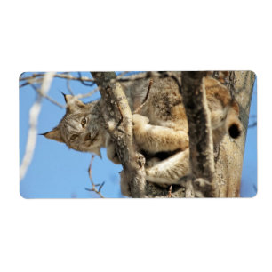 Étiquette Lynx espiègle