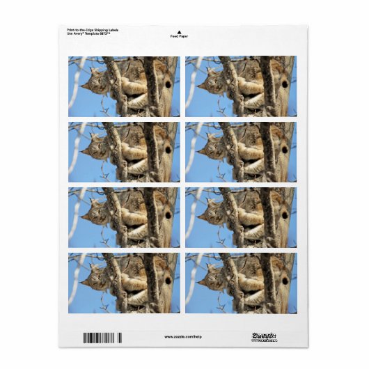 Étiquette Lynx espiègle (Feuille entière)