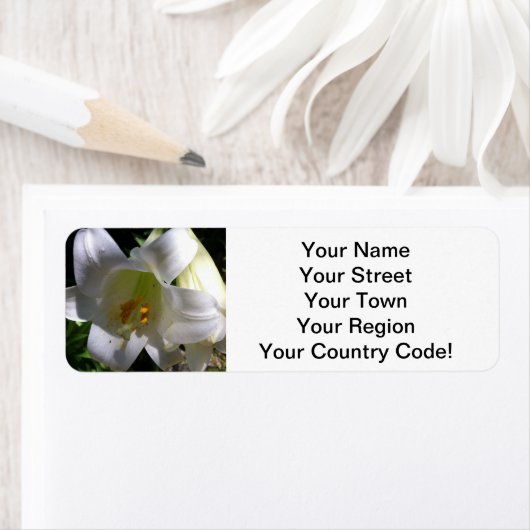 Étiquette Lys de Pâques blanc (En situation)