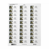 Étiquette Lys de Pâques blanc (Feuille entière)