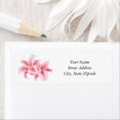 Étiquette Lys Stargazer Rose (En situation)