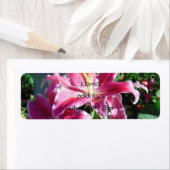 Étiquette lys stargazers (En situation)