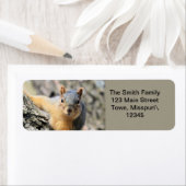 Étiquette M. Cutie (En situation)