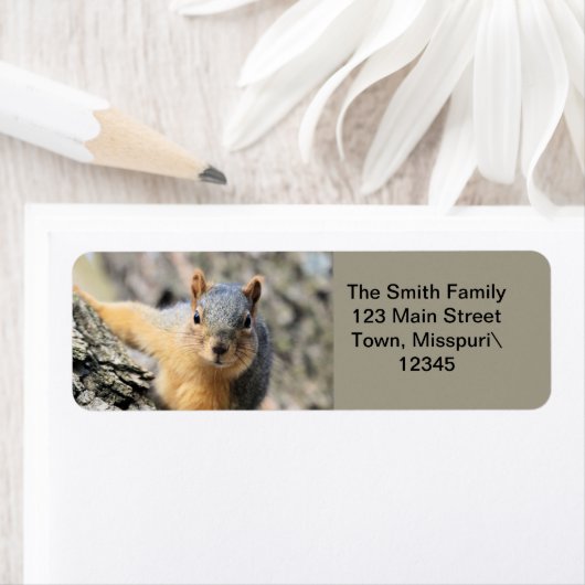 Étiquette M. Cutie (En situation)