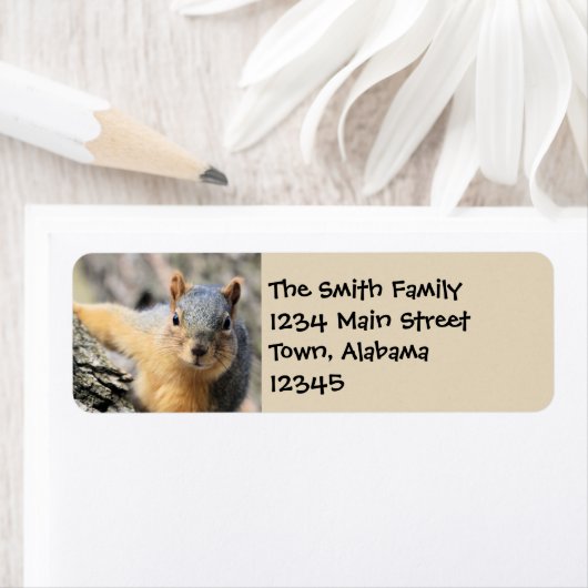 Étiquette M. Cutie (En situation)