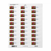 Étiquette Macarons colorés Dessert Cuit Savoureux (Feuille entière)