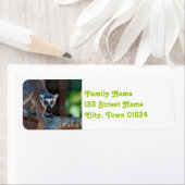 Étiquette Madagascar Lemur (En situation)