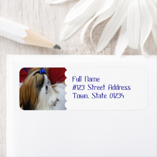 Étiquette MailingLabel-4 - Customisé (En situation)