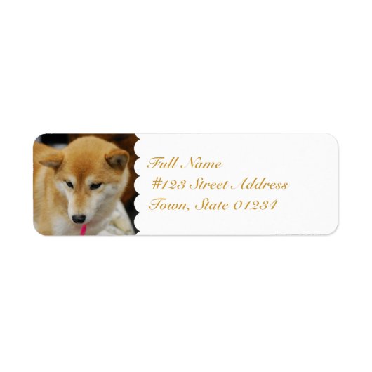 Étiquette MailingLabel-5 - Customisé (Devant)