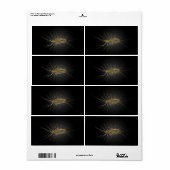 Étiquette Maison Centipede Scutigera Coleoptrata (Feuille entière)