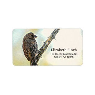 Étiquette Maison Femme Finch Oiseau Spiny Ocotillo Branche