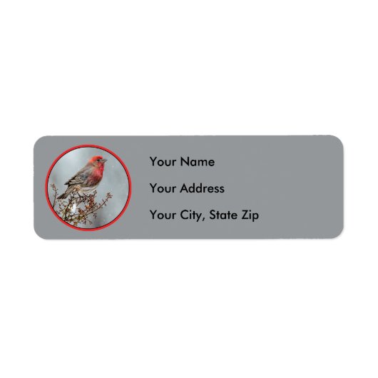 Étiquette Maison Finch en Neige - Photo originale (Devant)