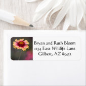 Étiquette Maisy du désert rose et jaune (En situation)