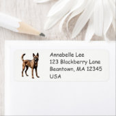 Étiquette Malinois belge (En situation)