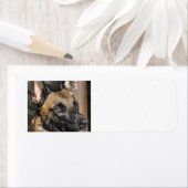 Étiquette malinois belge.png (En situation)