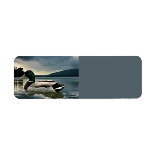 Étiquette Mallard Duck (Devant)