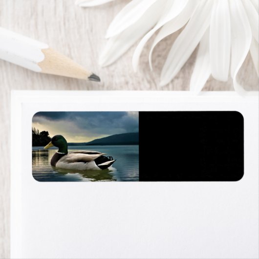 Étiquette Mallard Duck (En situation)