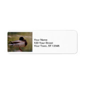 Étiquette Mallard Duck (Devant)