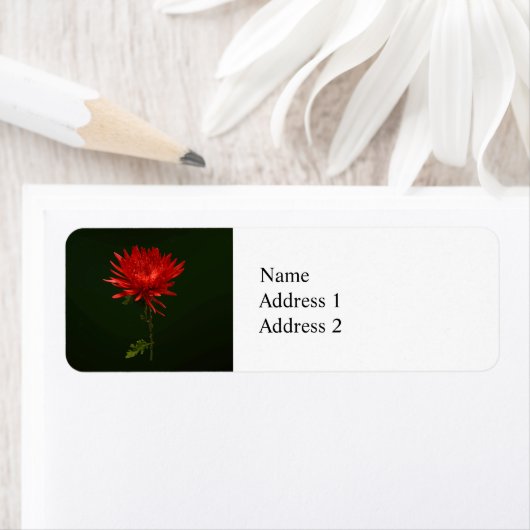 Étiquette Maman d'araignée rouge (En situation)