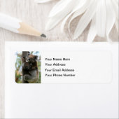 Étiquette Maman et Baby Koala (En situation)
