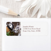 Étiquette Maman et bébé chèvre (En situation)