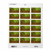 Étiquette Man Creek II perdu dans le parc national Redwood (Feuille entière)