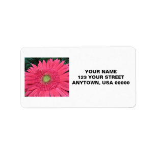 Étiquette Marguerite de Gerbera