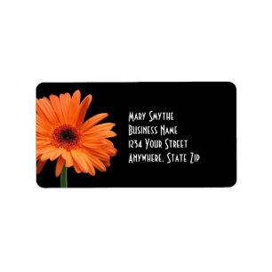 Étiquette Marguerite noire et orange chique de Gerbera